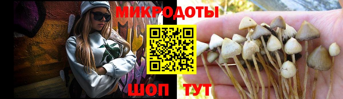 Псилоцибиновые грибы ЛСД Мариинск