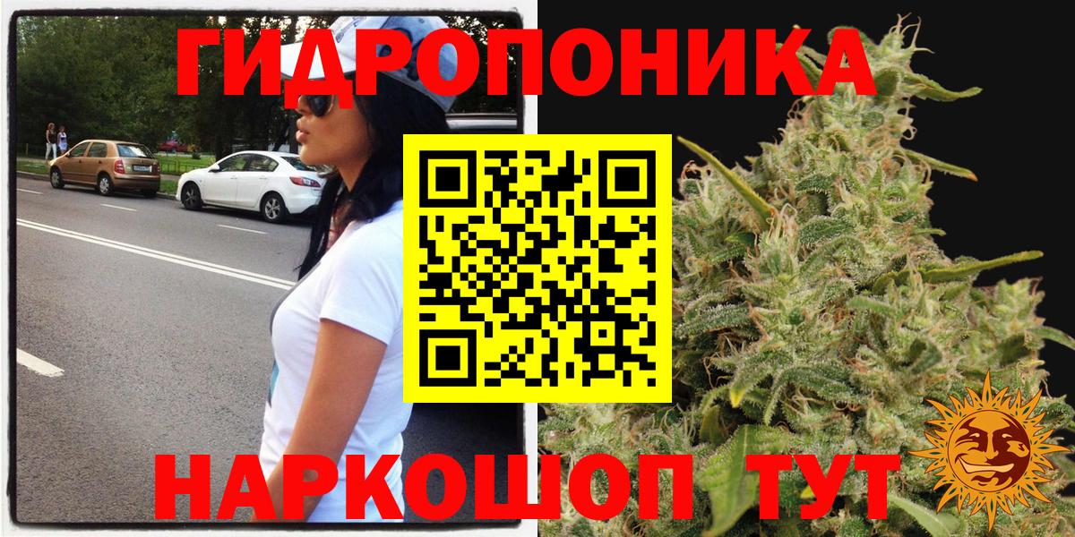 Канабис OG Kush Мариинск